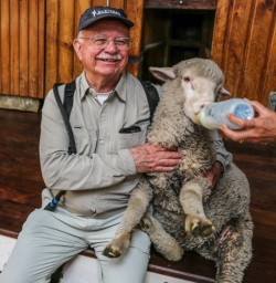 Feeding a Sheep with an Infant Feeding Bottle at Otago, New Zealand