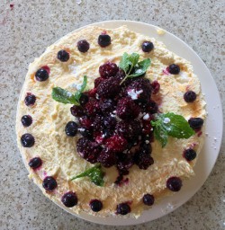 3 fresh fruit cake okarito nz2