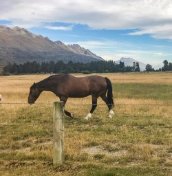 Girls at Mount Nicholas Farm, Otago New Zealand