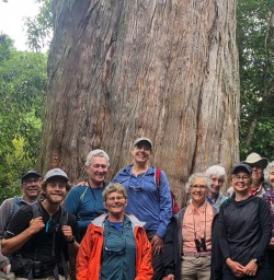 Group with a Kauri tree, Canterbury New Zealand