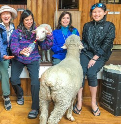 Group at Mount Nicholas Farm, Otago New Zealand