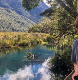 Guest at Mirror Lakes, Fiordland New Zealand