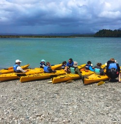 'learning the ropes' before heading out into Okarito Lagoon to visit the white herons.