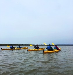 Kayaking Tour at Okarito Lagoon