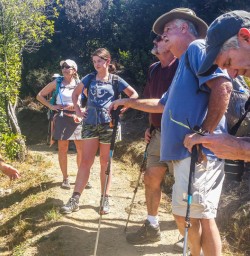 Guided Tour at Mou Waho Island, Lake Wanaka Otago New Zealand