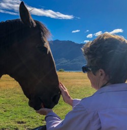 Horse at Mount Nicholas Farm, Otago New Zealand