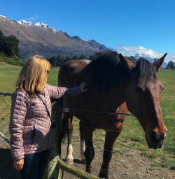 Horse at Mount Nicholas, Otago New Zealand