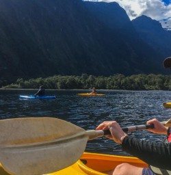Kayaking at Milford Sound, Fiordland National Park Southland New Zealand