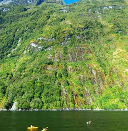 And getting out and onto the water is one of the best ways to appreciate the grandeur of Milford Sound