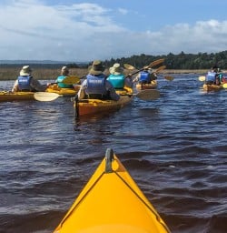 Kayaking at Okarito Lagoon, West Coast New Zealand