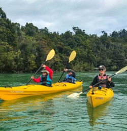 Kayaking Okarito