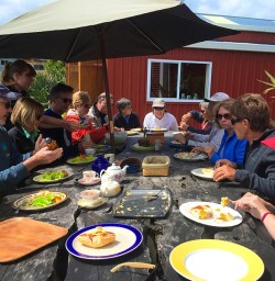 A kayakers lunch at the beautiful and sleepy Okarito