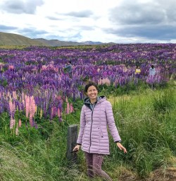 Lupins Mackenzie Country