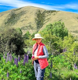 Lupins West Coast spring