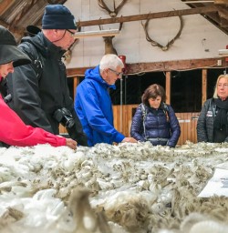 Merino Wool at Mount Nicholas Farm, Otago New Zealand