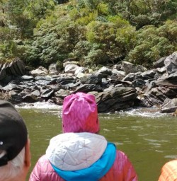 3 milford cruise south island2