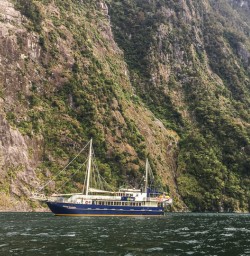 Milford Sound cruise, Fiordland Southland New Zealand