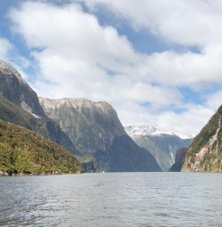 Milford sound cruise new zealand2