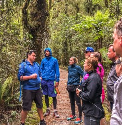 Group at Milford Track, Arthur river, Fiordland New Zealand