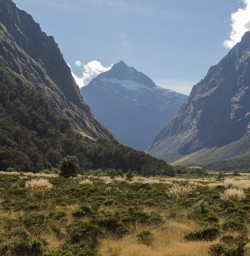 Monkey Creek, Fiordland New Zealand