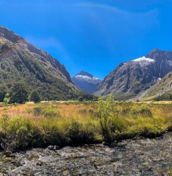 Monkey Creek, Fiordland New Zealand