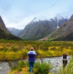 Monkey Creek on the road into Milford Sound