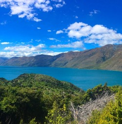 The picture perfect view from Mou Waho Island