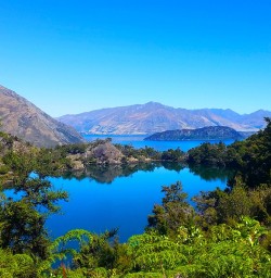 Mou Waho Island Nature Reserve on Lake Wanaka