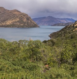Mou Waho Island, Wanaka Otago New Zealand