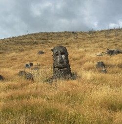 Mount Nicholas Road, Southland New Zealand