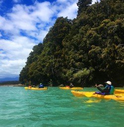 Guided Kayaking Tour at Okarito Lagoon