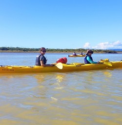 guided kayaking at okarito lagoon