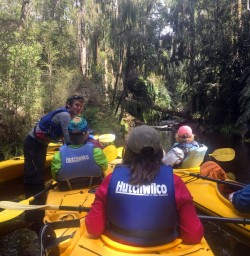 Guided Kayaking at Okarito Lagoon