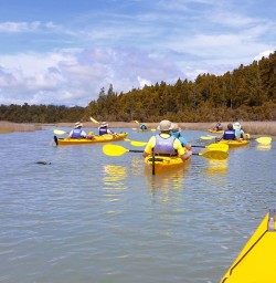 kayaking at okarito lagoon