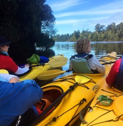 Okarito Lagoon Kayaking