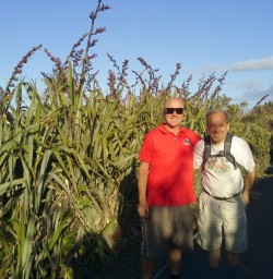 hikers at okarito lagoon