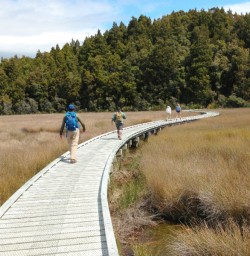 okarito trig hike