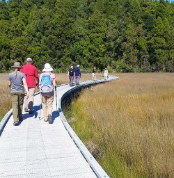 hiking the okarito trig