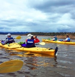 Group at Okarito Lagoon Kayaking