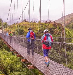 Passing bridge at Otago, New Zealand
