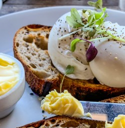 Poached eggs for lunch
