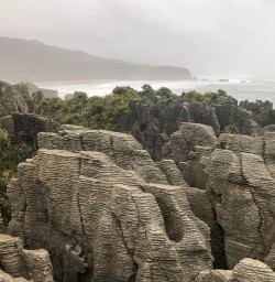 Punakaiki pancake rocks, West Coast New Zealand