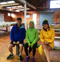 Visiting a New Zealand high country Sheep Farm