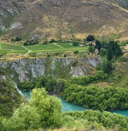 Views of Gibbston Valley and Kawarau Gorge