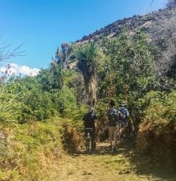 Walking the Mou Waho Island, Lake Wanaka Otago New Zealand