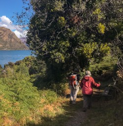 Walking at Mou Waho Island, Wanaka Otago New Zealand