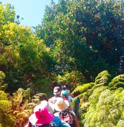 Walking the Mou Waho Island Nature Reserve