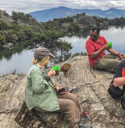 Wekas at Mou Waho Island, Wanaka Otago New Zealand