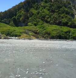 west coast beach