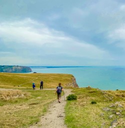 3. Godley Head views